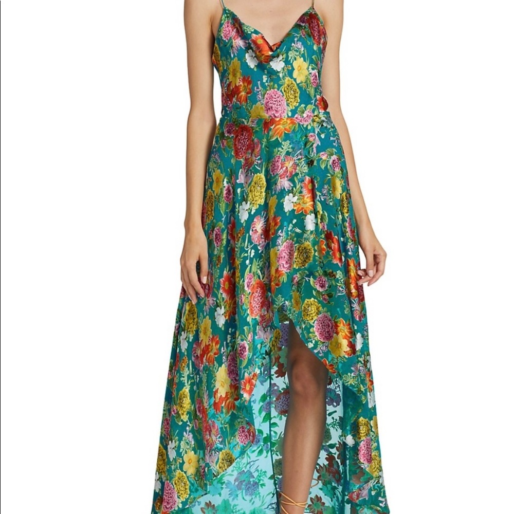 Alice+Olivia Christina Floral-Printed Hi-Lo Dress